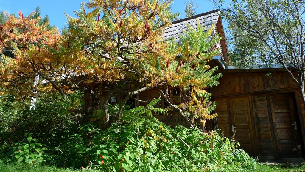 Woodenhouse Maramures Vişeu de Sus Esterno foto