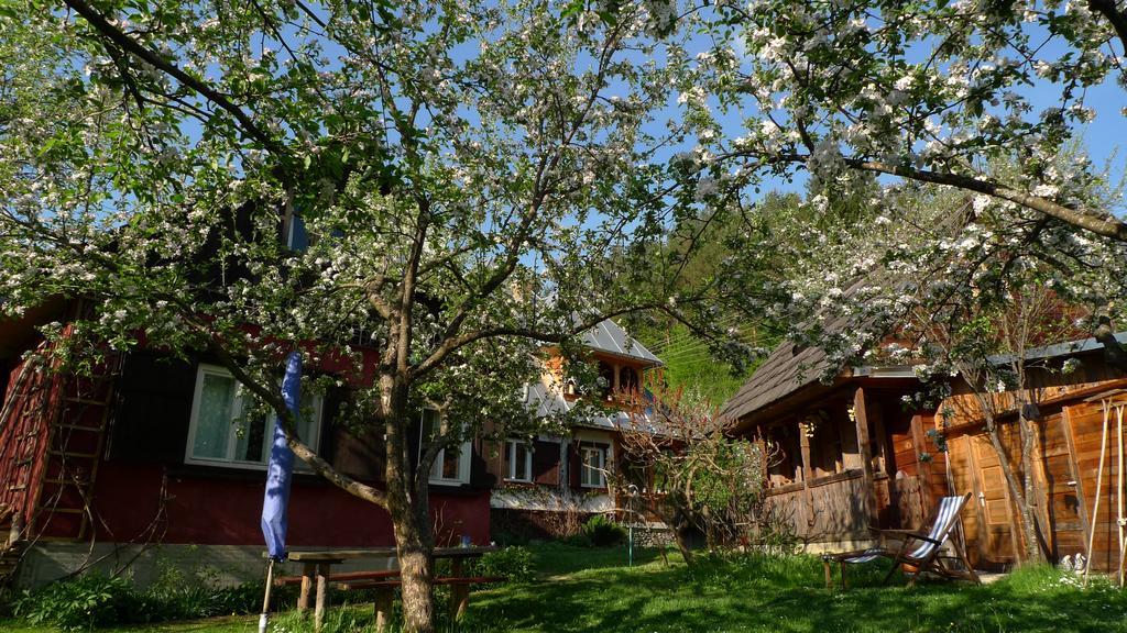 Woodenhouse Maramures Vişeu de Sus Esterno foto